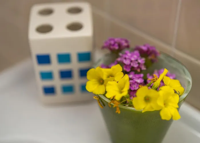 Lucia - Aliterno V6 Apartment Olbia