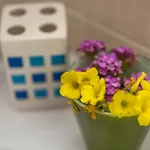 Lucia - Aliterno V6 *